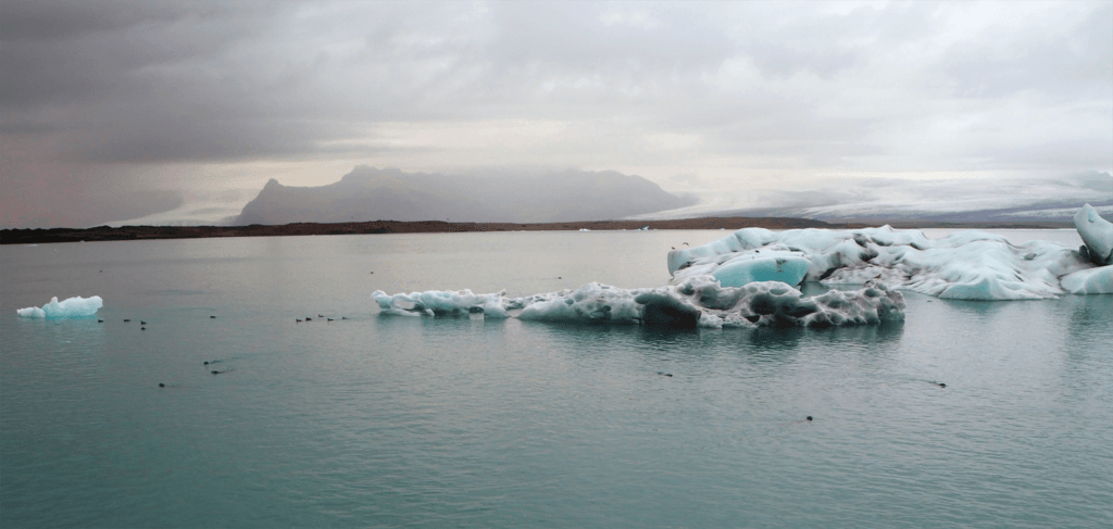 Hoffellsjökull - Gletscher Eisschollen Seerobben - Island Roadtrip