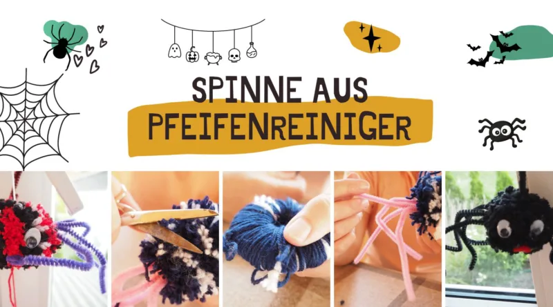 Pfeifenreiniger Spinne Header